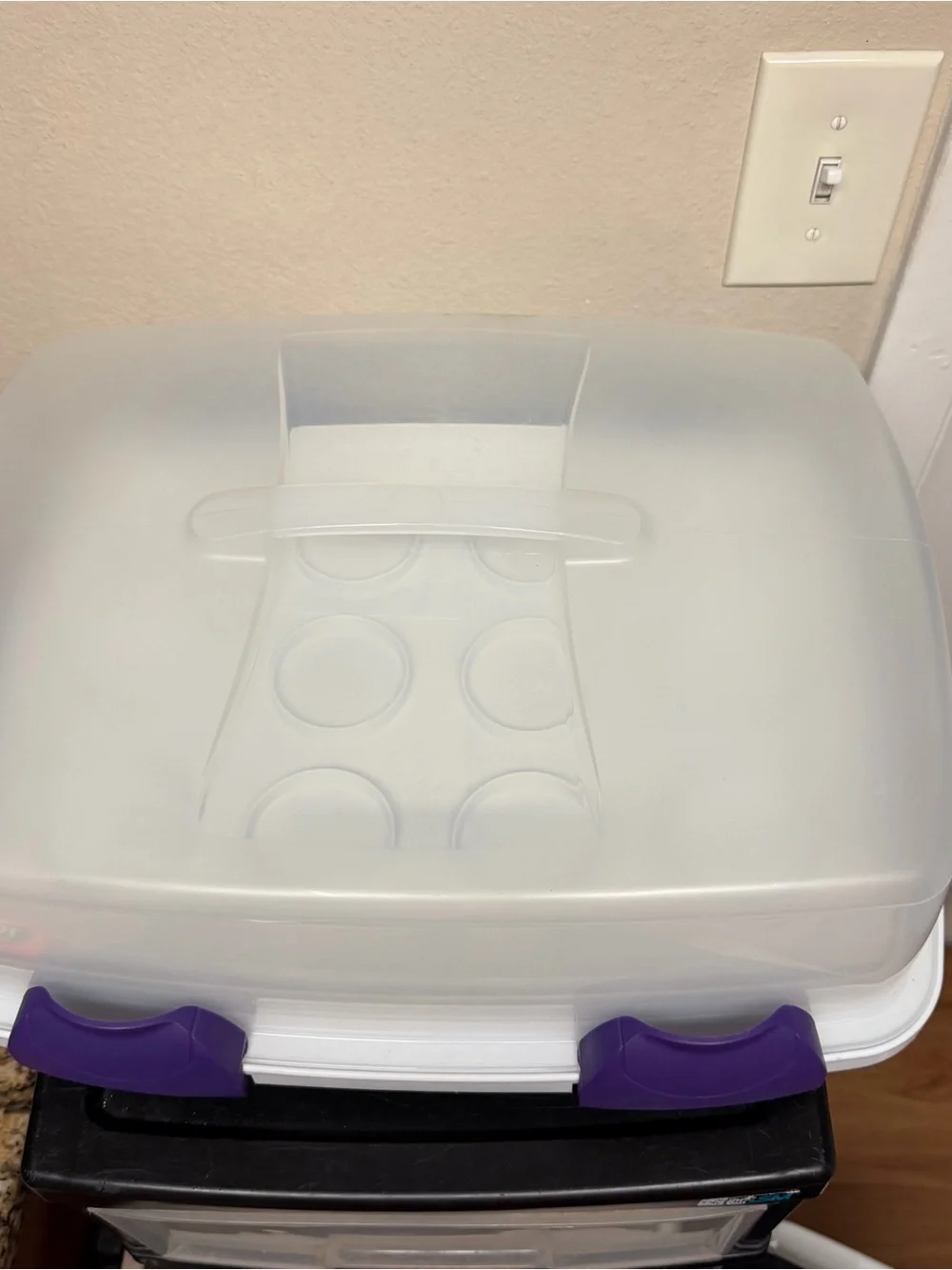 Wilton Cupcake Cake Carrier